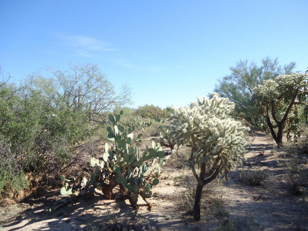 11151 N Camino De Oeste, Tucson, AZ 85742