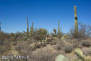 10589 N Decker, Tucson, AZ 85742