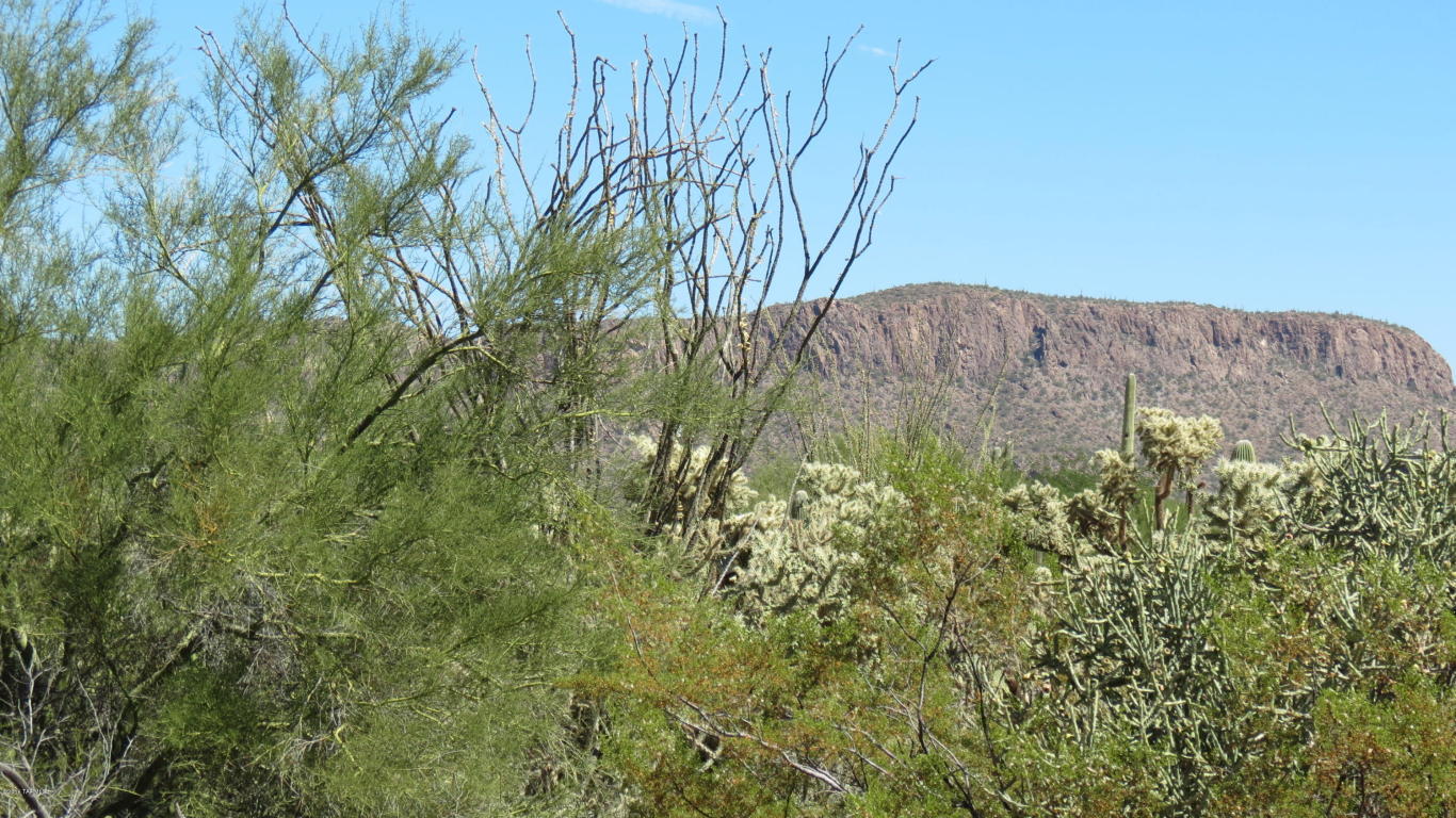 10003 W Horse Mesa, Tucson, AZ 85743