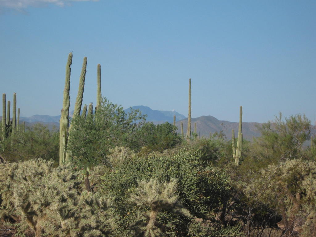 12229 W Fort Lowell, Tucson, AZ 85743