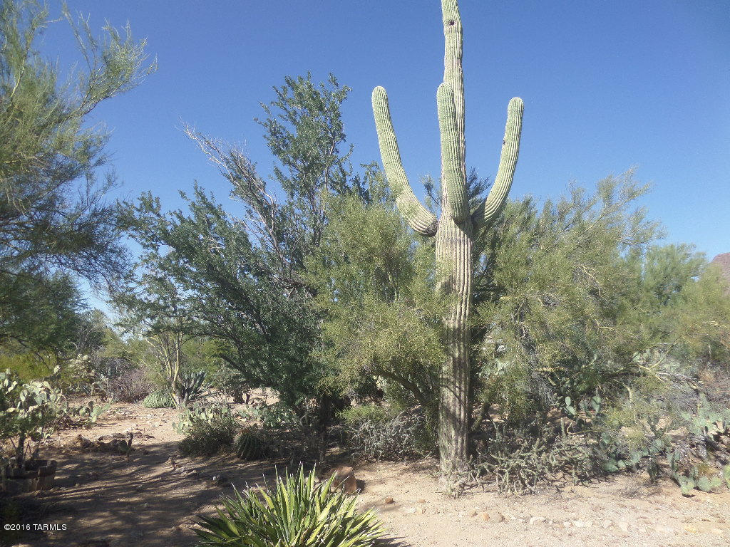 6891 N Desert View, Tucson, AZ 85743