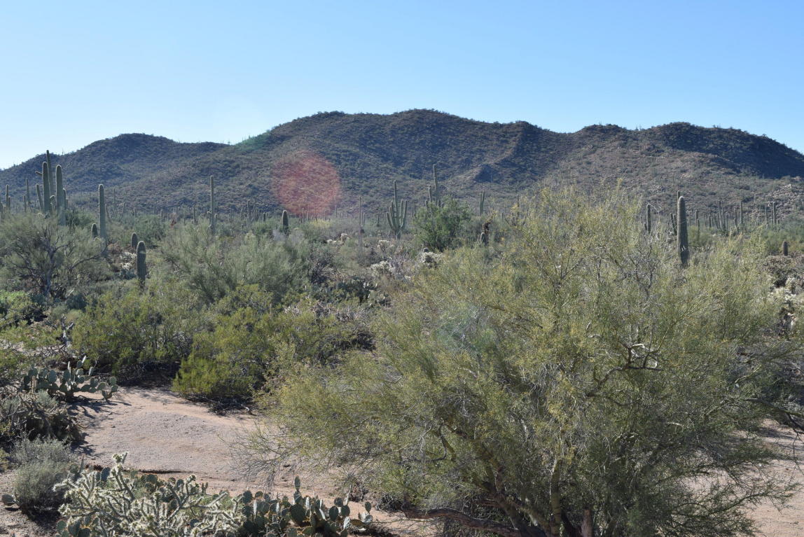 9641 W Rudasill, Tucson, AZ 85743