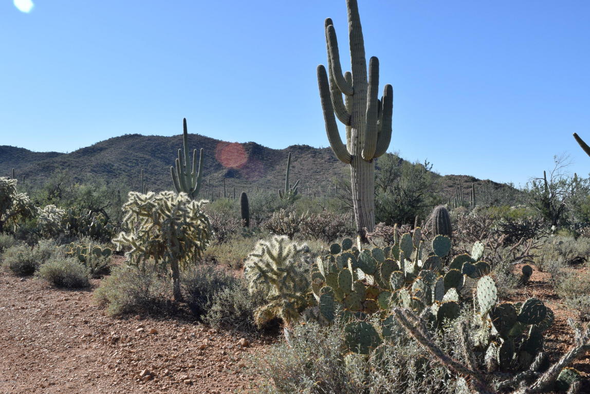 9641 W Rudasill, Tucson, AZ 85743