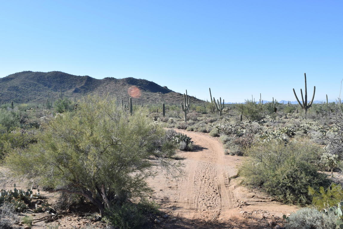 9641 W Rudasill, Tucson, AZ 85743