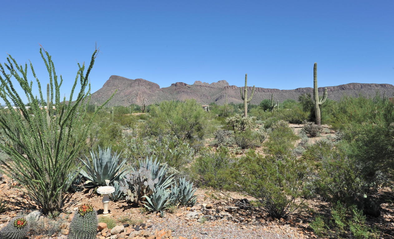 9800 W Picture Rocks, Tucson, AZ 85743