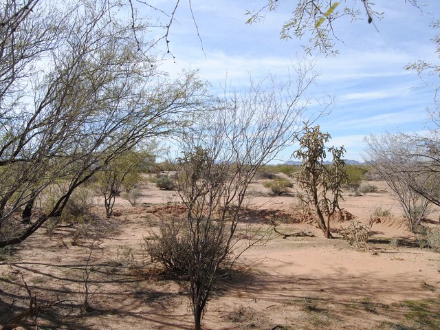 7979 N Avra RoadTucson, AZ, 85743Pima County