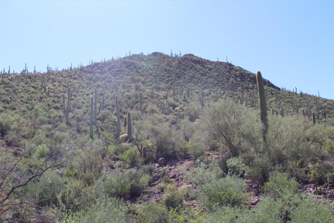 5341 W Crestview, Tucson, AZ 85745