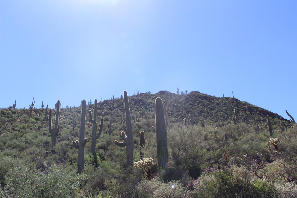 5341 W Crestview, Tucson, AZ 85745