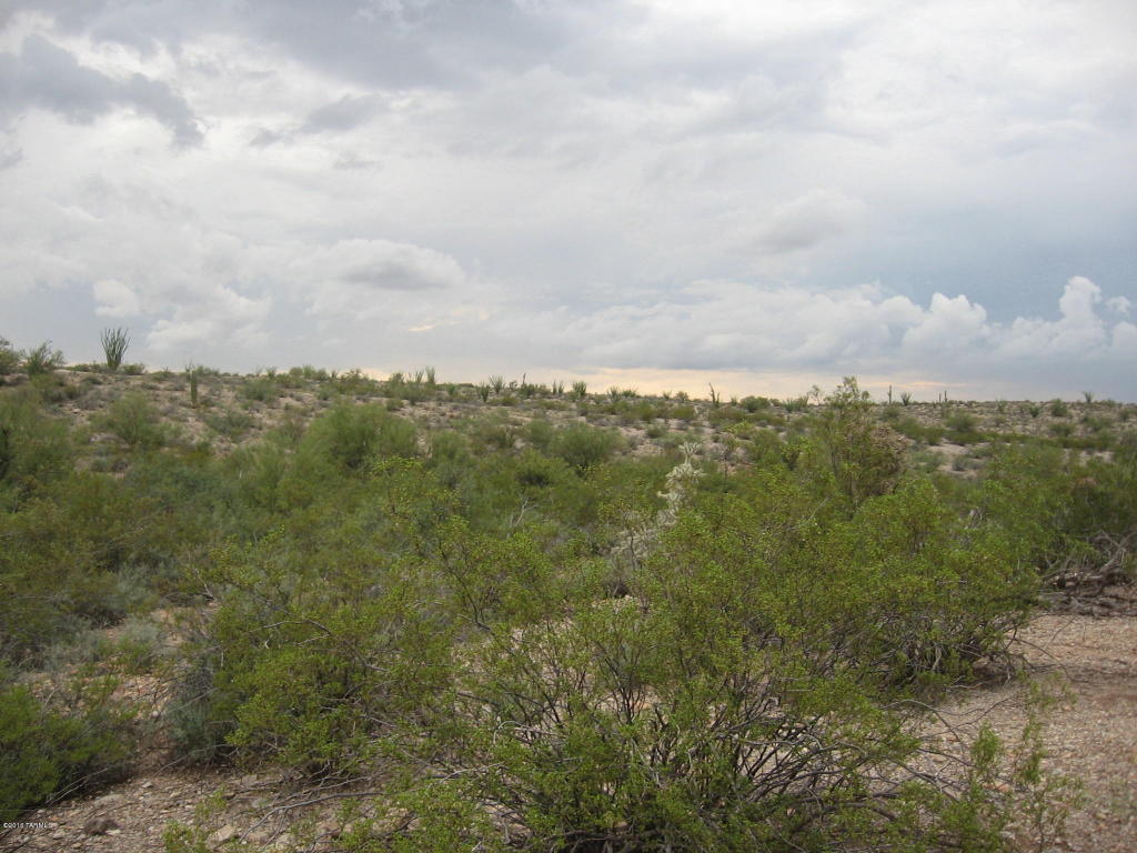 Jacob, Tucson, AZ 85745