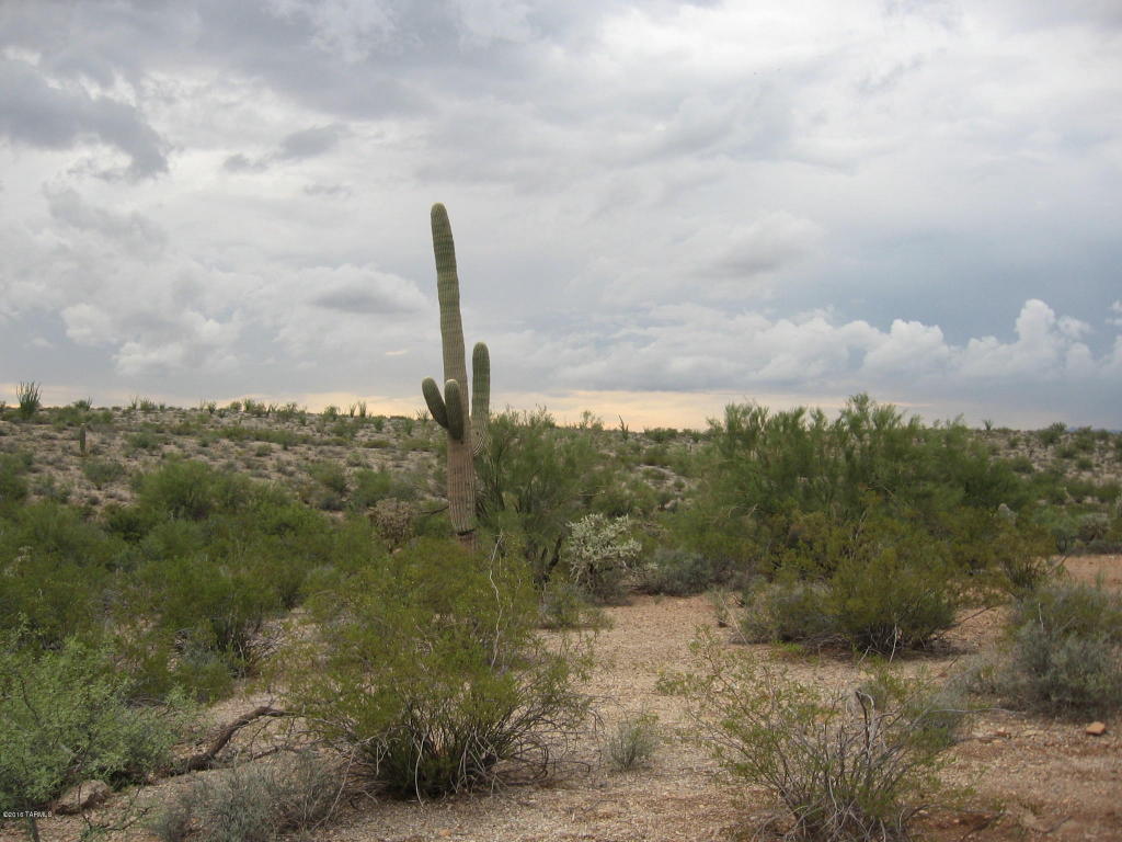 Jacob, Tucson, AZ 85745