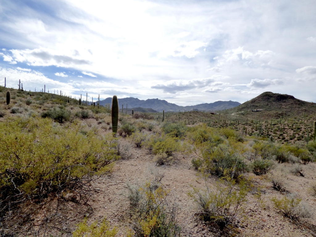 5891 W El Camino Del Cerro A, Tucson, AZ 85745