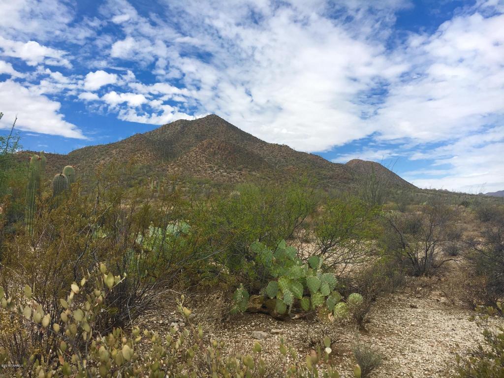435 N Resort Hills, Tucson, AZ 85745