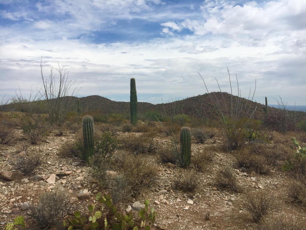 435 N Resort Hills, Tucson, AZ 85745