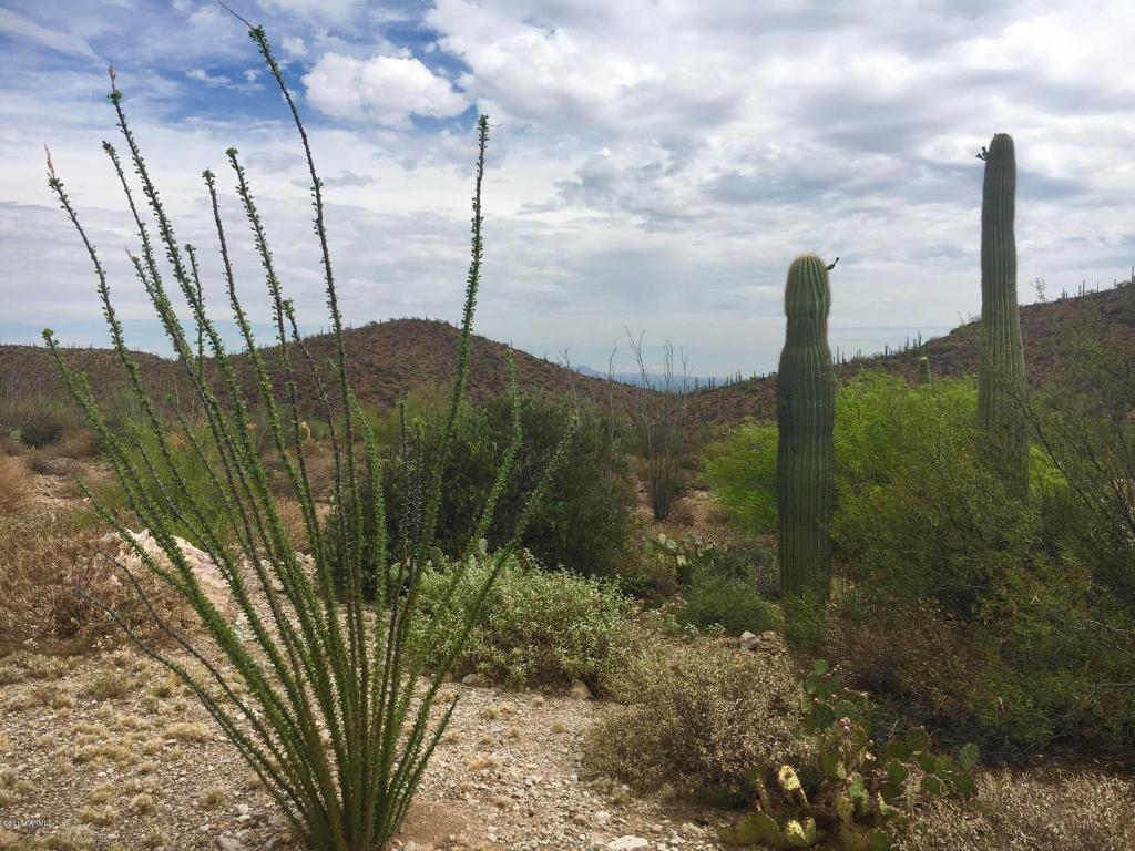 435 N Resort Hills, Tucson, AZ 85745