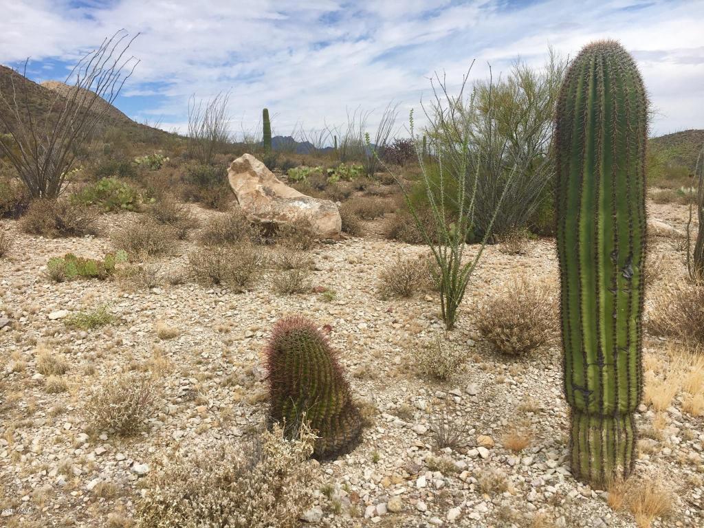 435 N Resort Hills, Tucson, AZ 85745