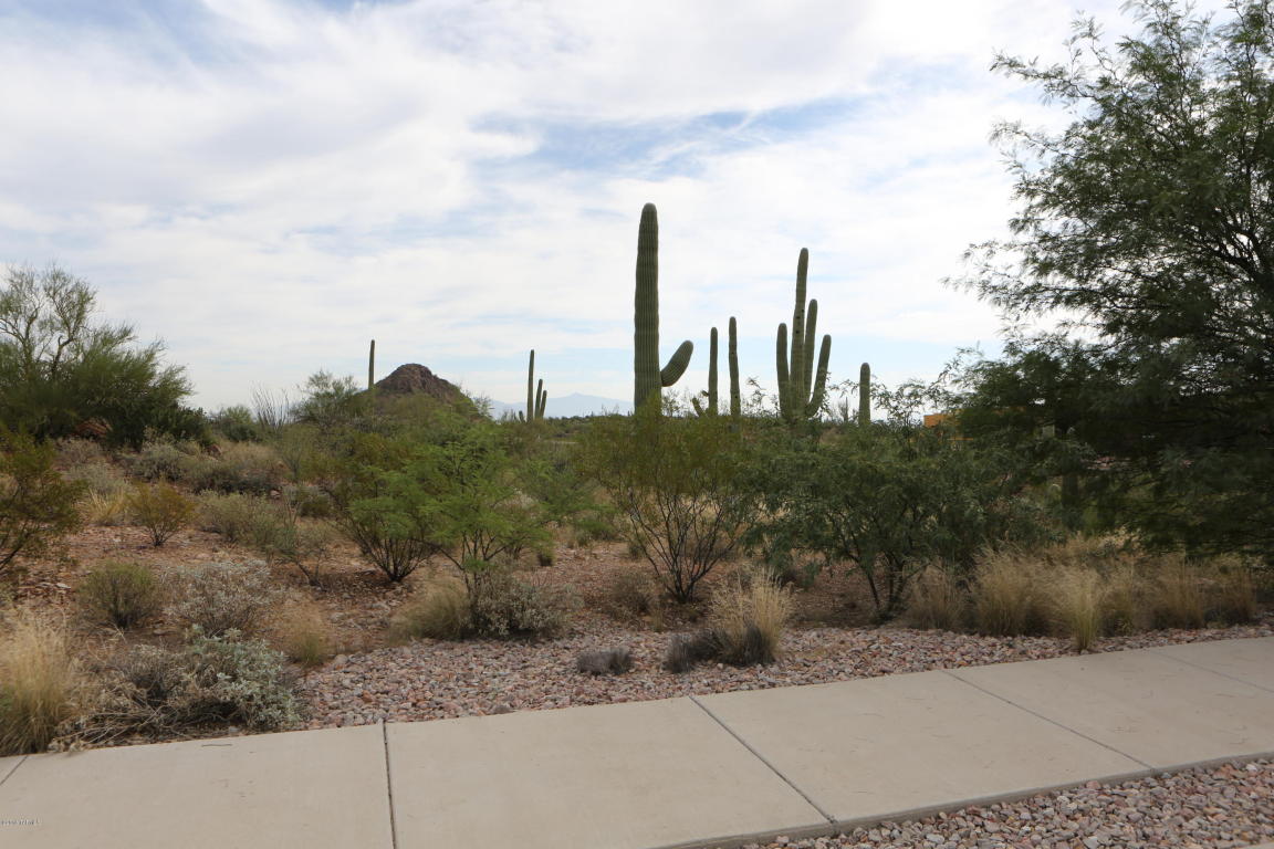 2079 S Little Dipper, Tucson, AZ 85745