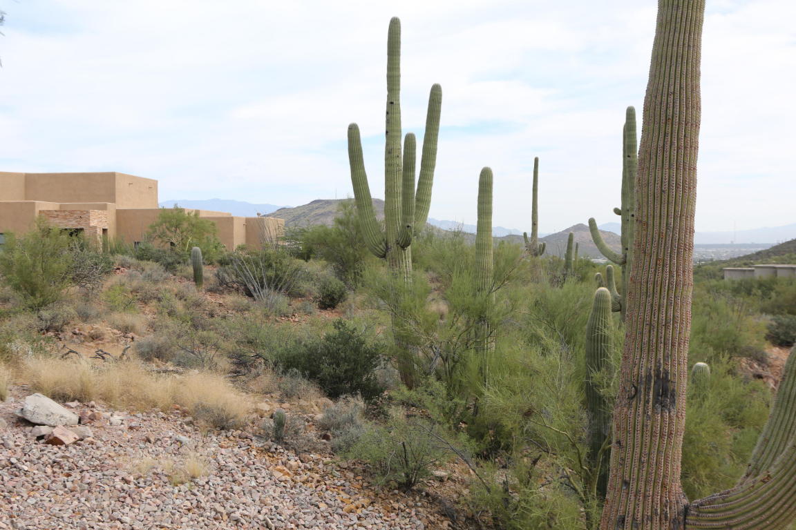 2079 S Little Dipper, Tucson, AZ 85745