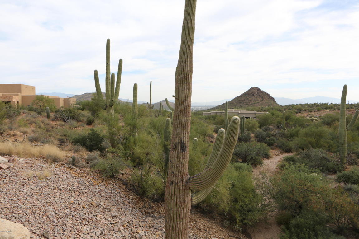 2079 S Little Dipper, Tucson, AZ 85745