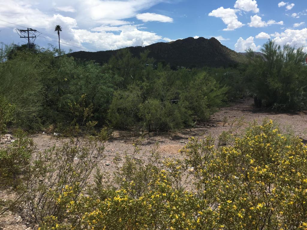 4101 W Valencia, Tucson, AZ 85746