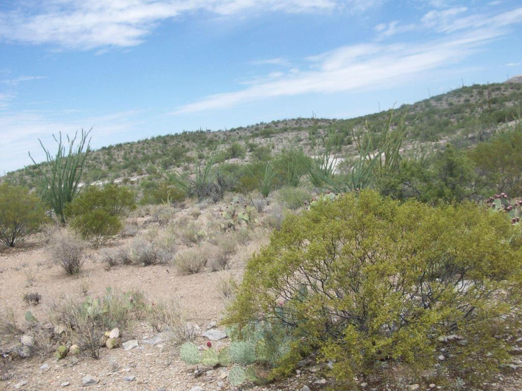 15425 E RINCON CREEK RANCH, Tucson, AZ 85747