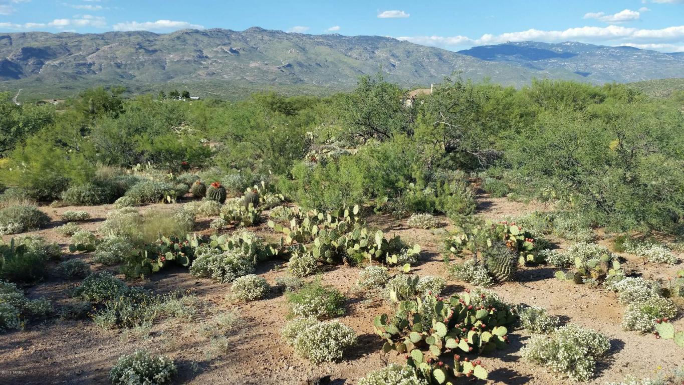 7901 S Camino Loma Alta, Tucson, AZ 85747