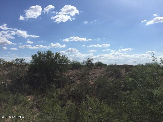 14250 E Avenida Elena, Tucson, AZ 85747