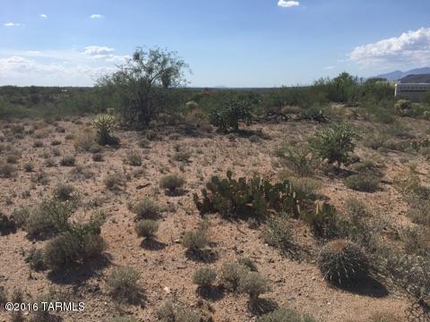 14250 E Avenida Elena, Tucson, AZ 85747