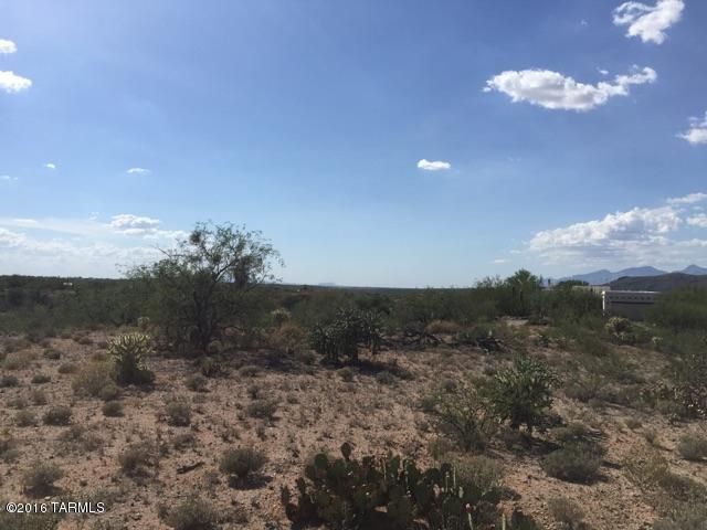 14250 E Avenida Elena, Tucson, AZ 85747