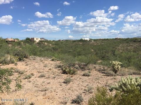 14250 E Avenida Elena, Tucson, AZ 85747