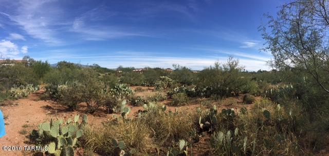 7401 S Avenida De Belleza, Tucson, AZ 85747