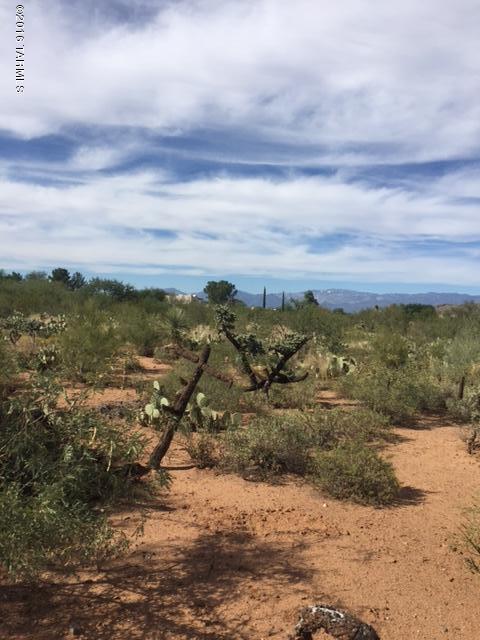 7401 S Avenida De Belleza, Tucson, AZ 85747