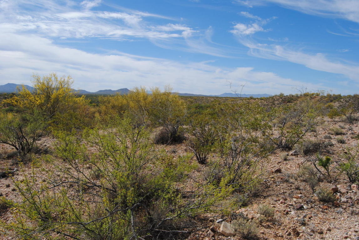 7013 S AVENIDA DEL PORTRILLO, Tucson, AZ 85747
