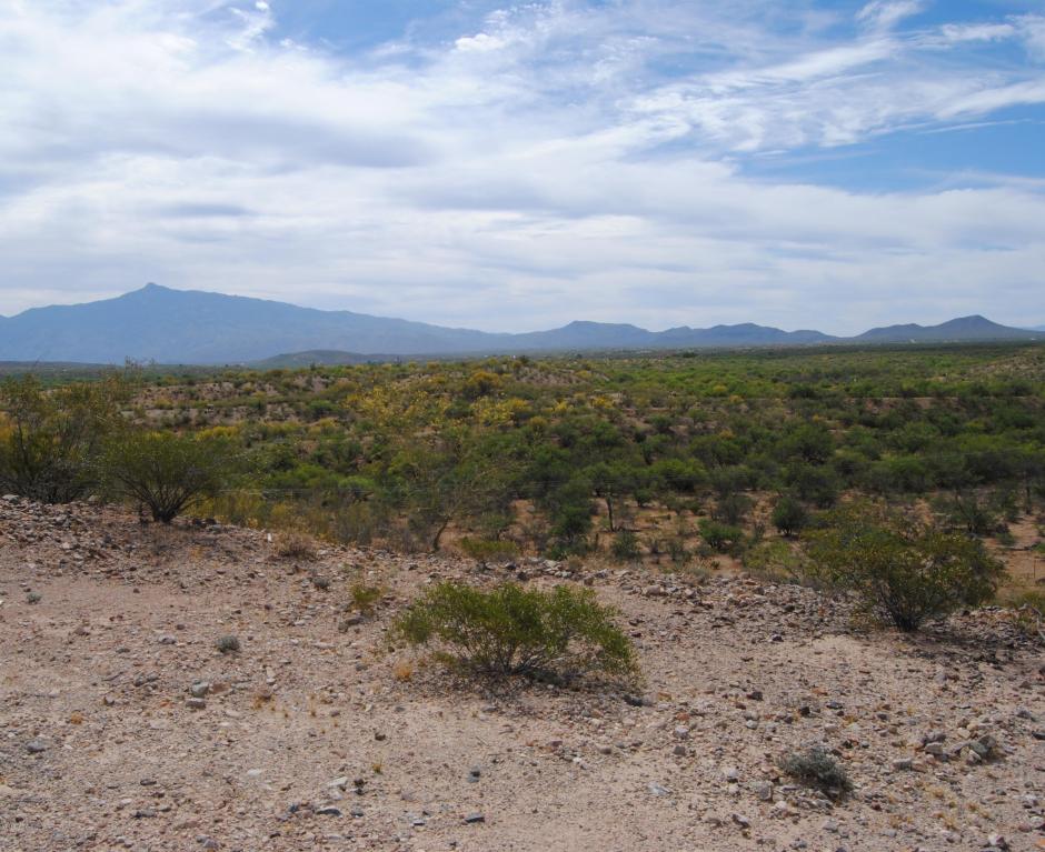7013 S AVENIDA DEL PORTRILLO, Tucson, AZ 85747