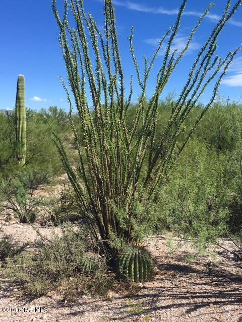 4190 N Avenida De Montezuma, Tucson, AZ 85749