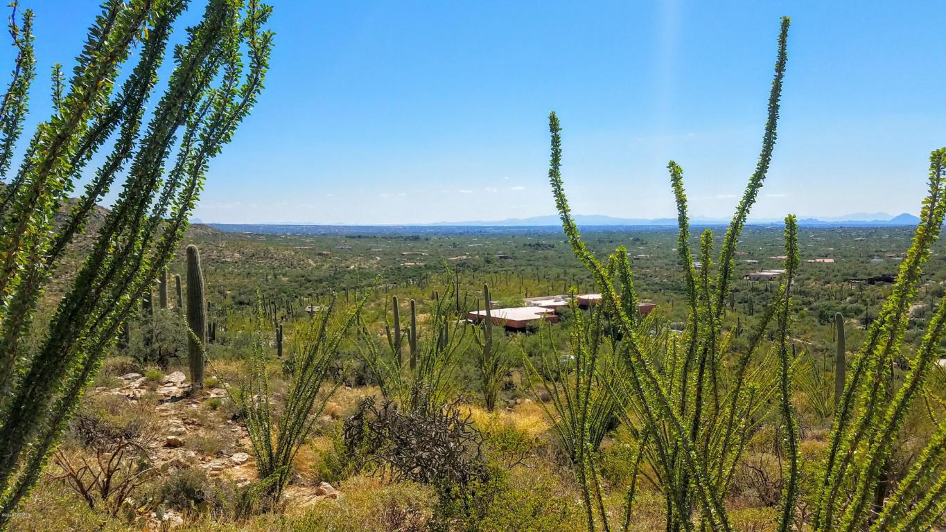 12895 E Cabeza De Vaca, Tucson, AZ 85749
