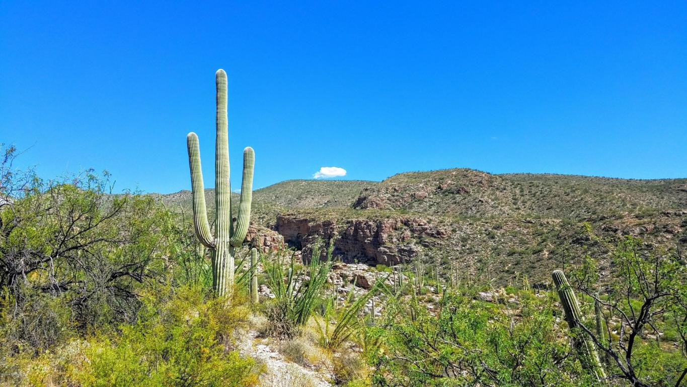 12895 E Cabeza De Vaca, Tucson, AZ 85749