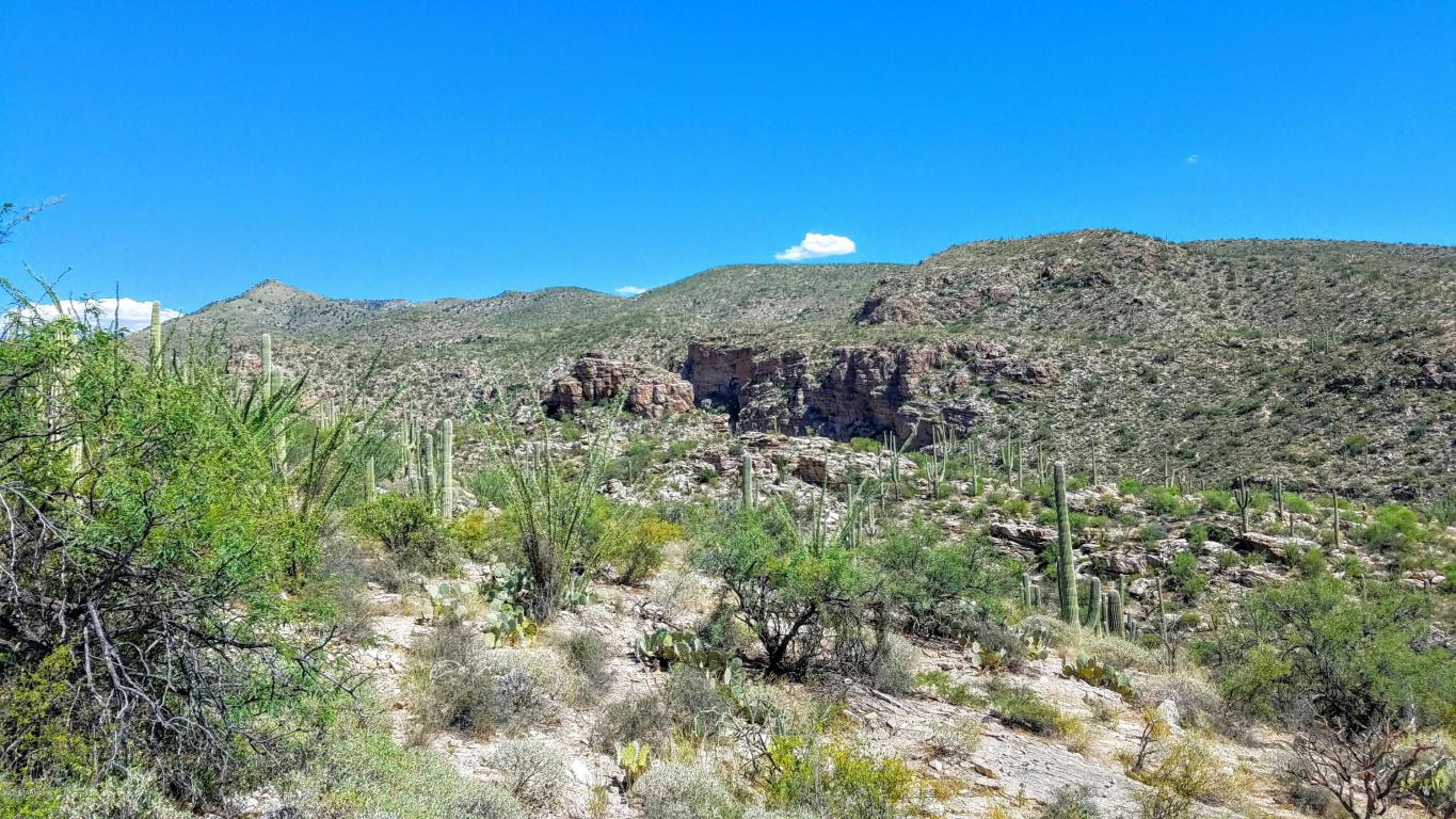 12895 E Cabeza De Vaca, Tucson, AZ 85749