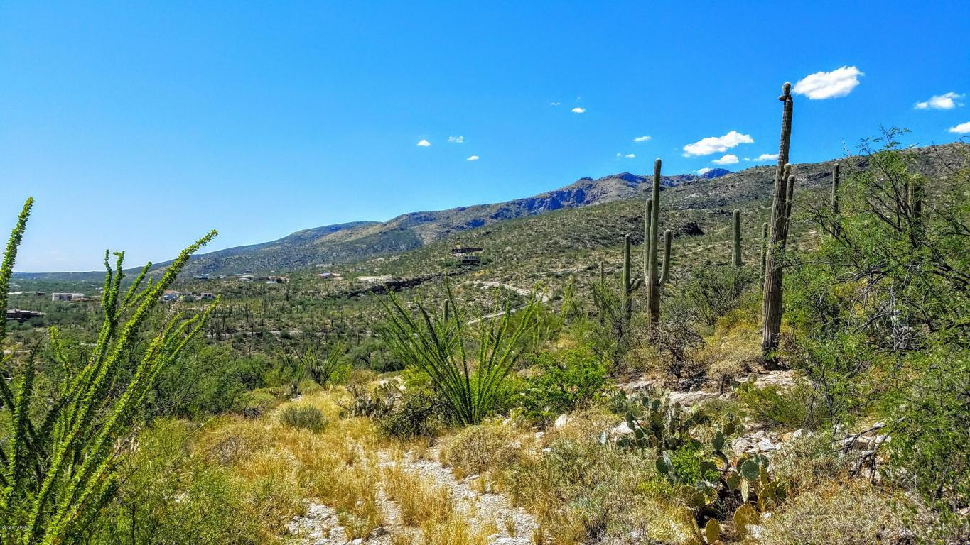 12895 E Cabeza De Vaca, Tucson, AZ 85749