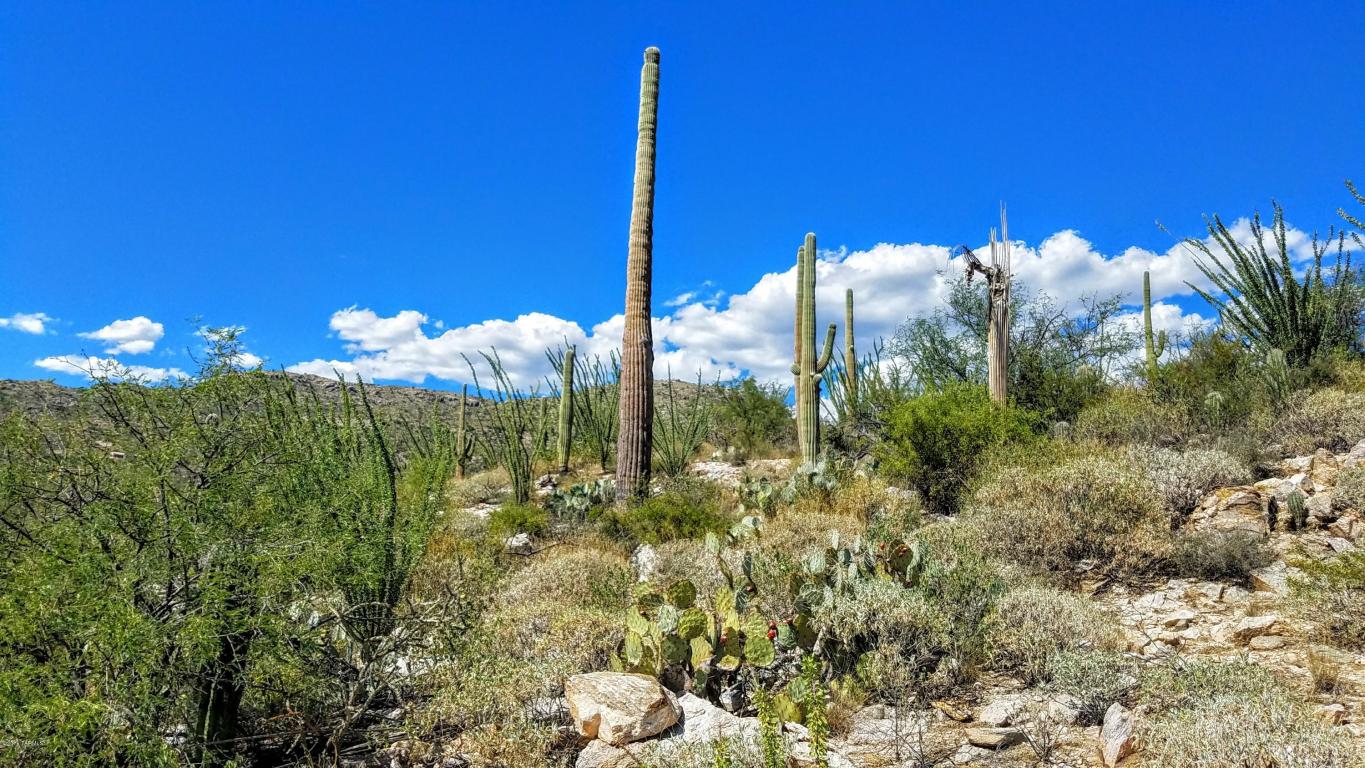 12895 E Cabeza De Vaca, Tucson, AZ 85749