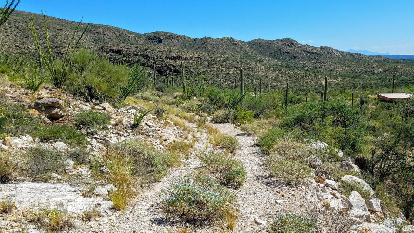 12895 E Cabeza De Vaca, Tucson, AZ 85749