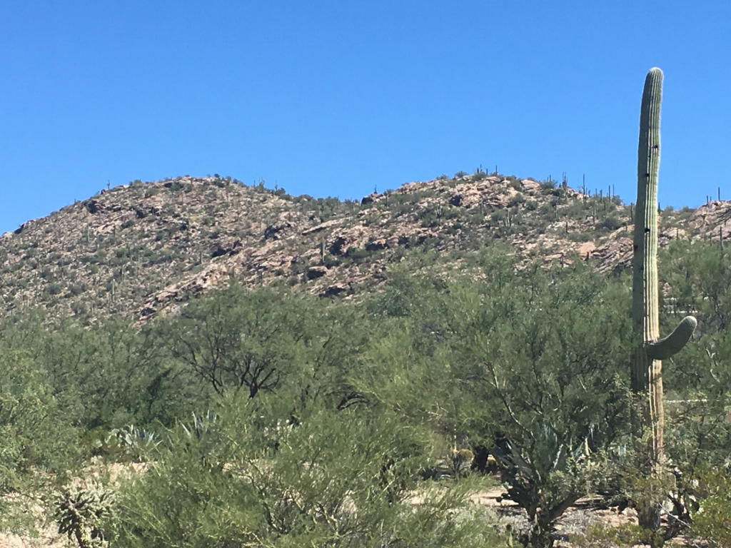 12441 E Fireweed, Tucson, AZ 85749