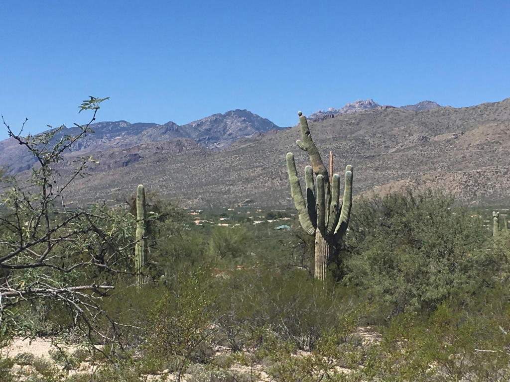 12441 E Fireweed, Tucson, AZ 85749