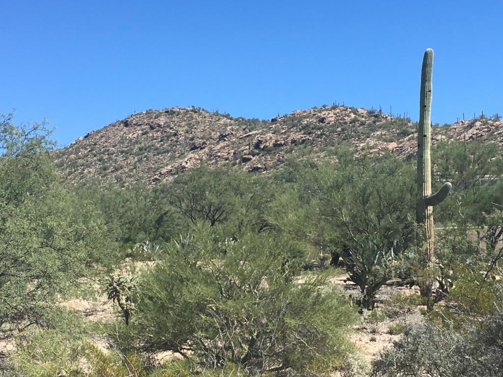 12441 E Fireweed, Tucson, AZ 85749