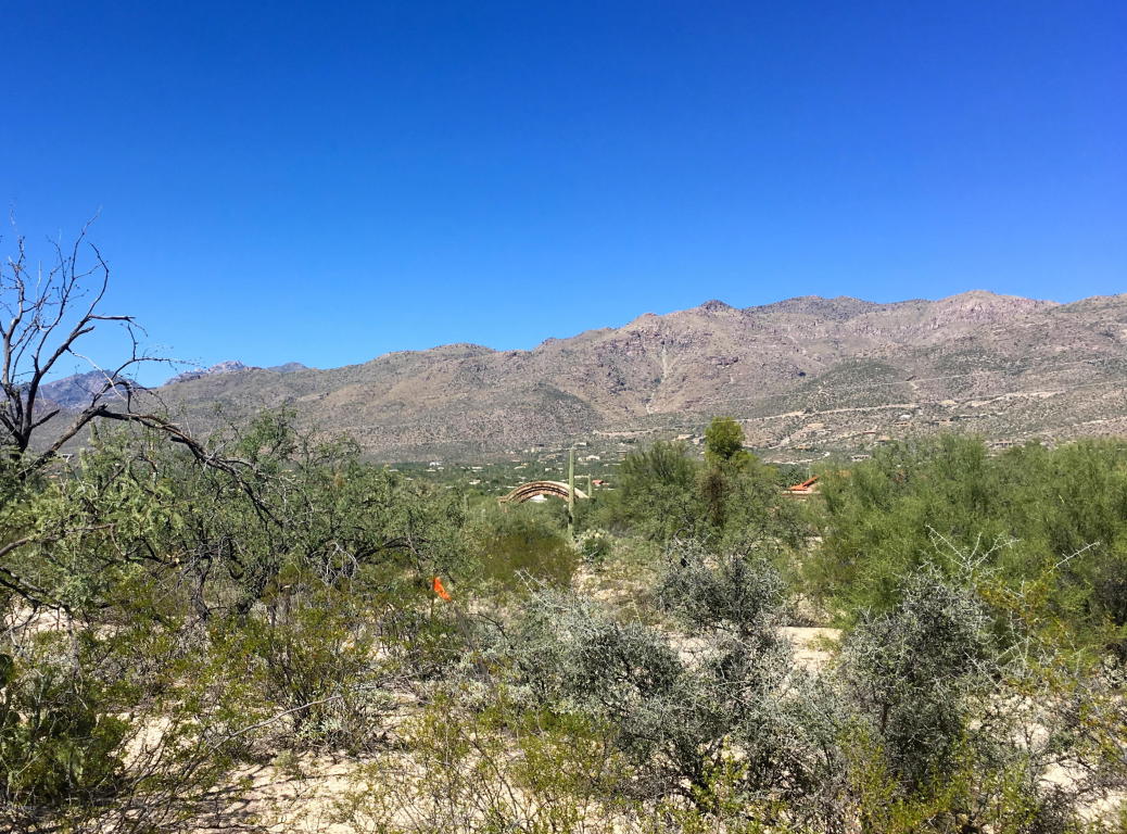 12441 E Fireweed, Tucson, AZ 85749