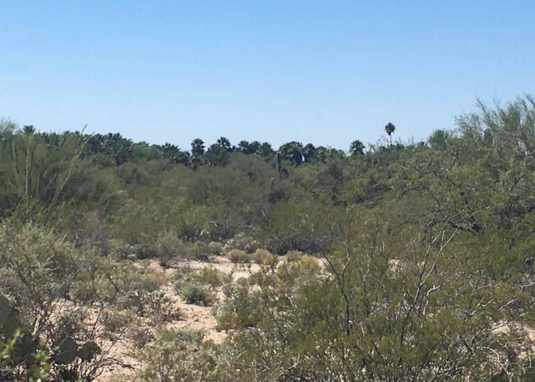 12441 E Fireweed, Tucson, AZ 85749