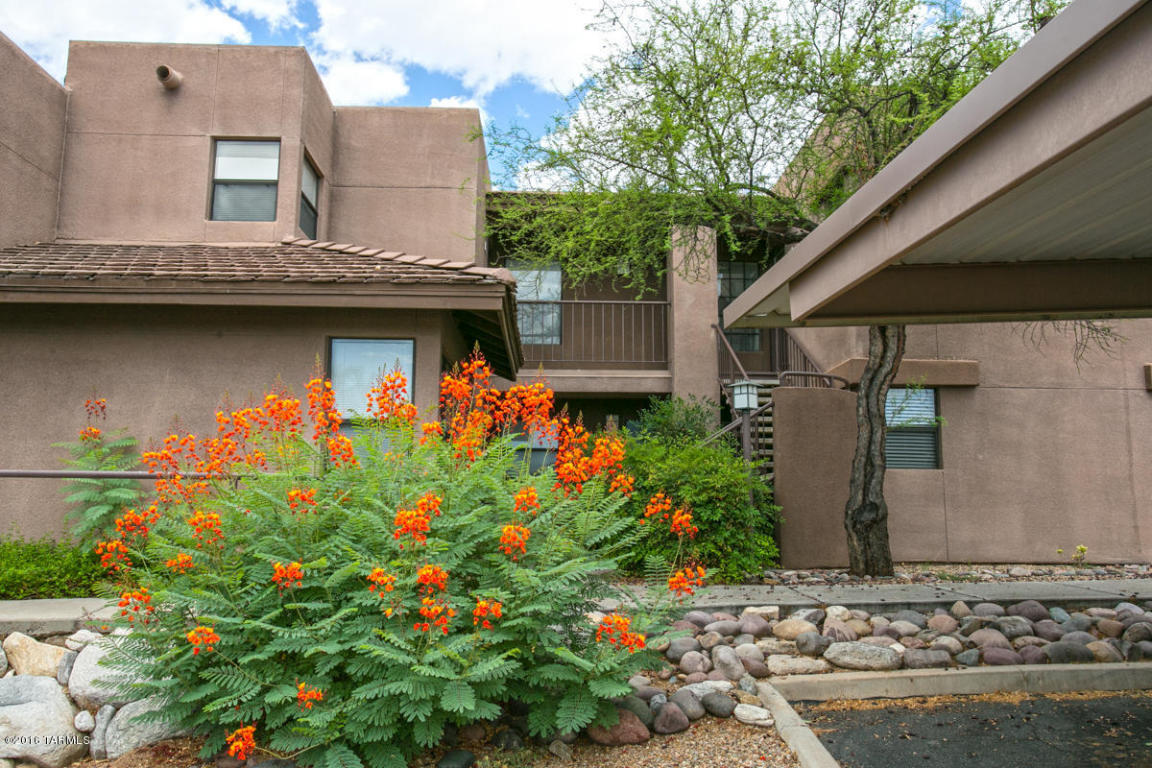 5855 N Kolb, Tucson, AZ 85750