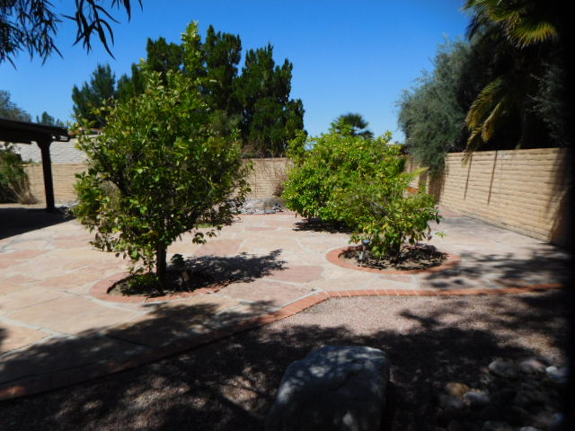 7131 E River Canyon RoadTucson, AZ, 85750Pima County