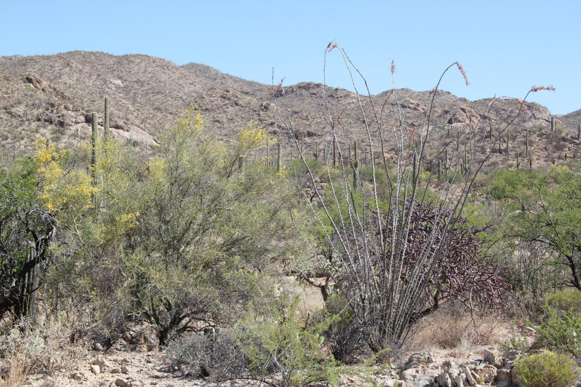 14255 N Gibson, Tucson, AZ 85755