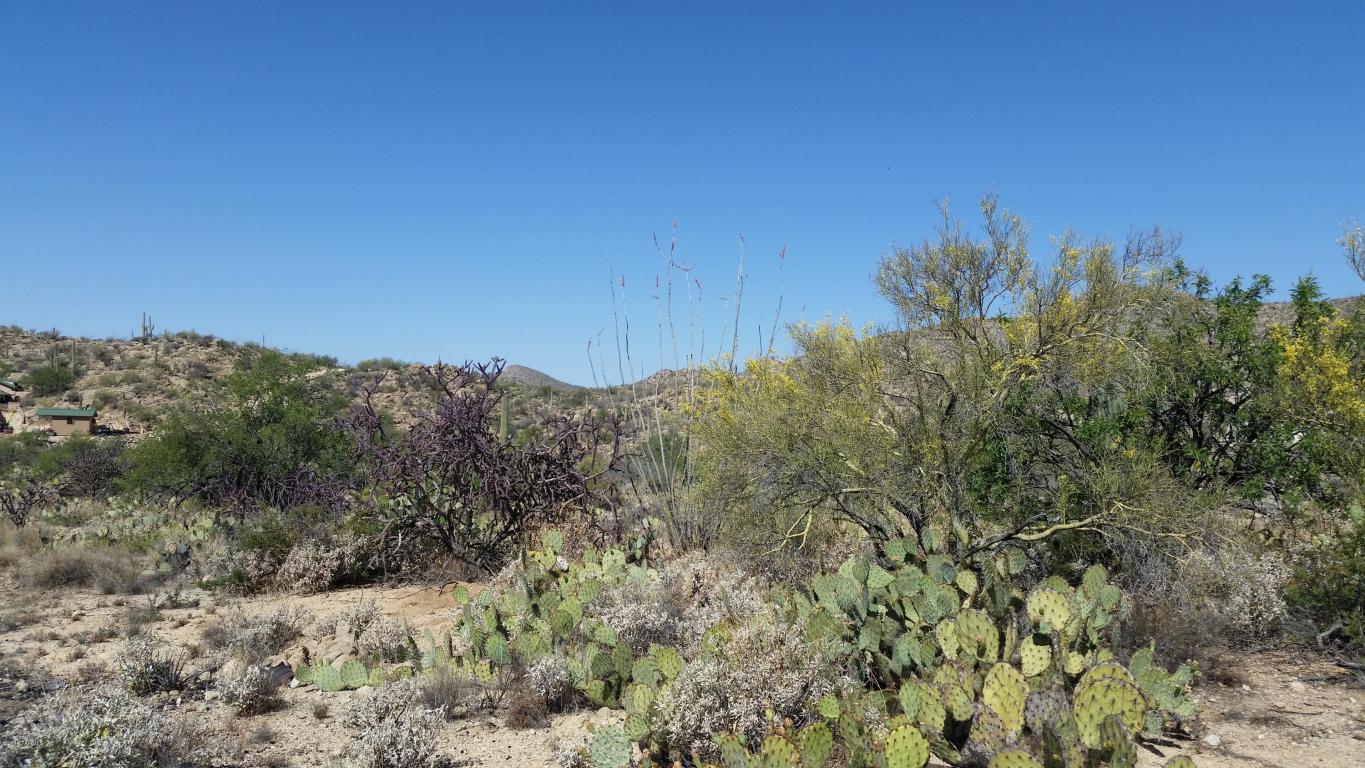 14255 N Gibson, Tucson, AZ 85755