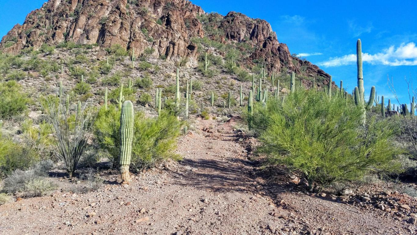 4785 W Nebraska, Tucson, AZ 85757